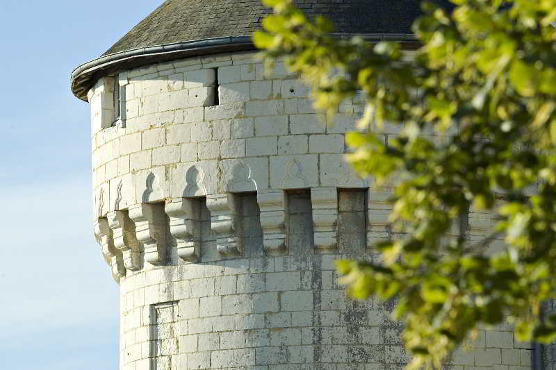 Chateau De Marcay Екстериор снимка